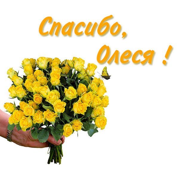 Спасибо Ленок