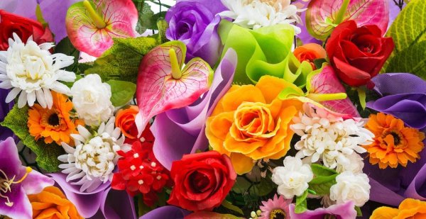 Парикмахерская цветок