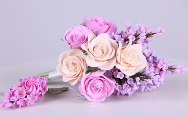 Розовые тюльпаны