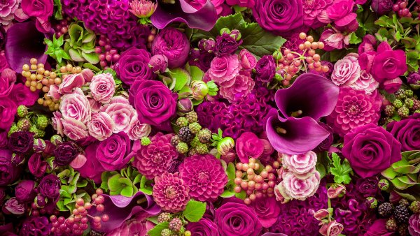 Баннер для магазина сад огород