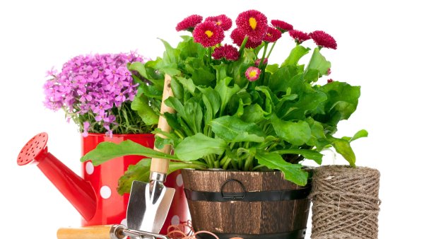 Визитки маникюр