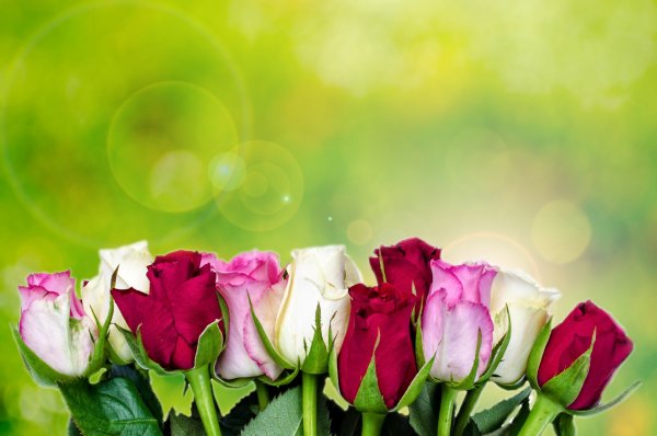 Креативная реклама цветочного магазина