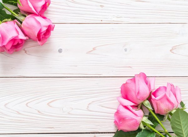 Цветы абстракция