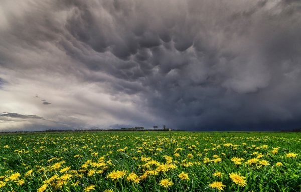 Хитачи Сисайд парк Япония
