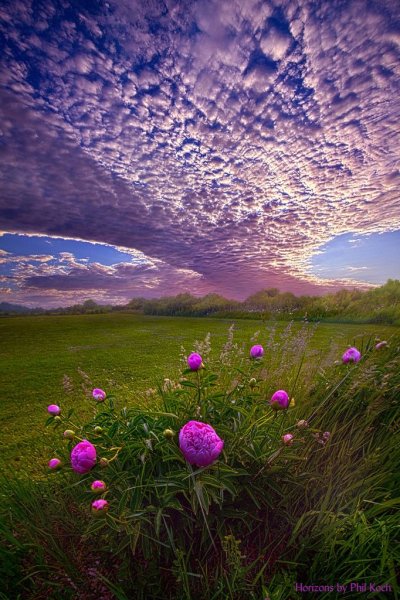 Лето в России