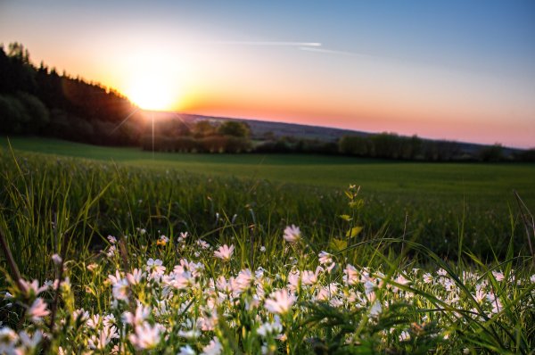Солнце на Поляне