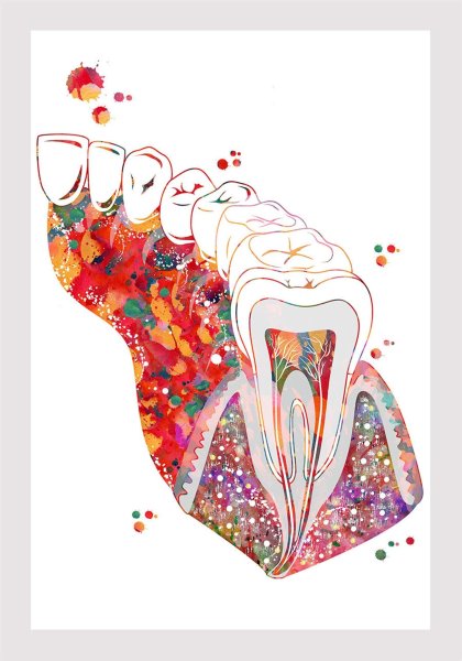 Зуб картина