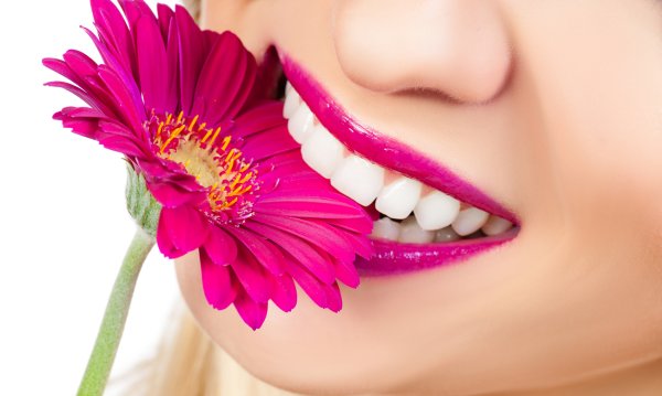 Цветок с зубами