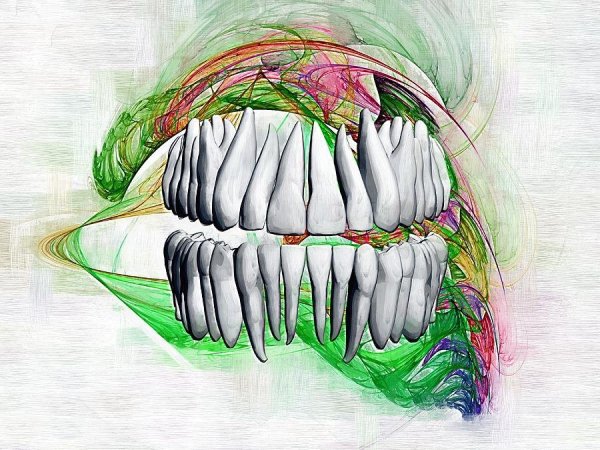 Картины зубов