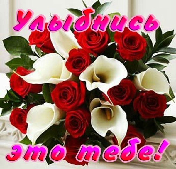 Цветы для светки