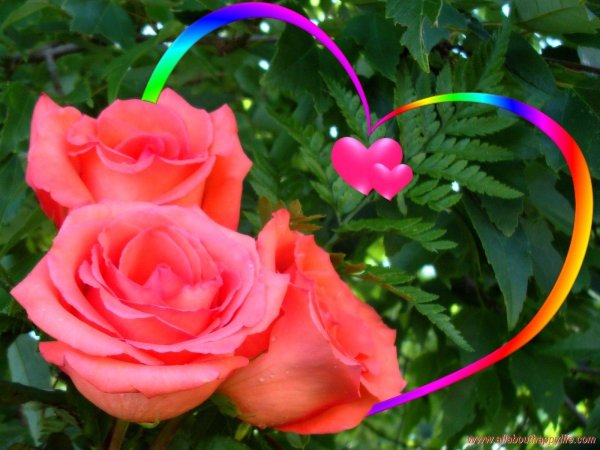 Поцелуй с цветами