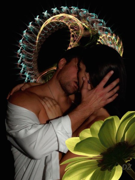 Цветок поцелуй