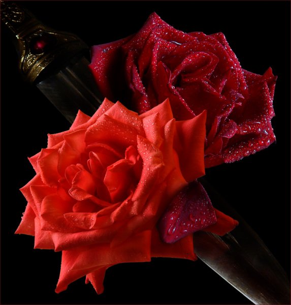 Страстные цветы