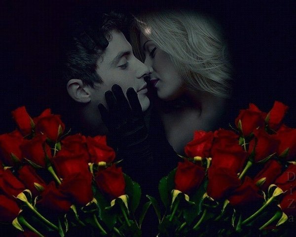 Поцелуй розы