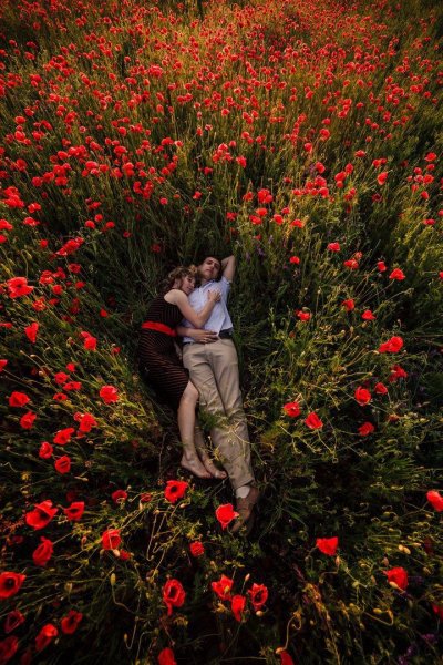 Романтичные цветы