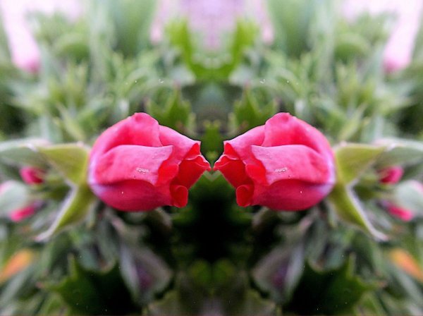 Страстная любовь анимация