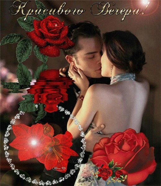 Роза любви