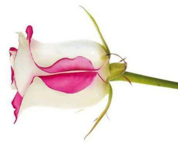 Нежности с женщиной