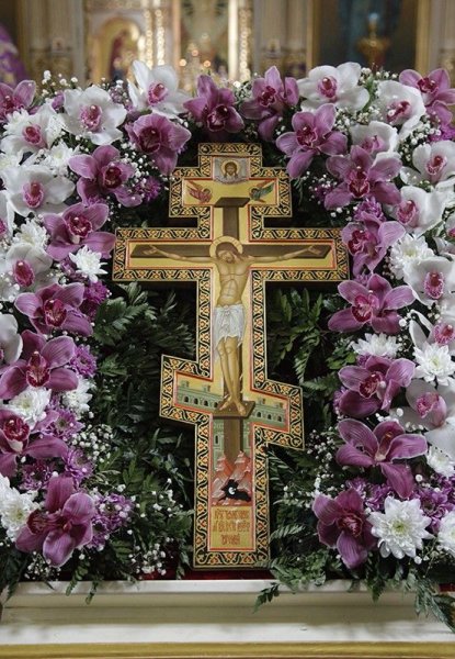 Православный крест с виноградной лозой вектор