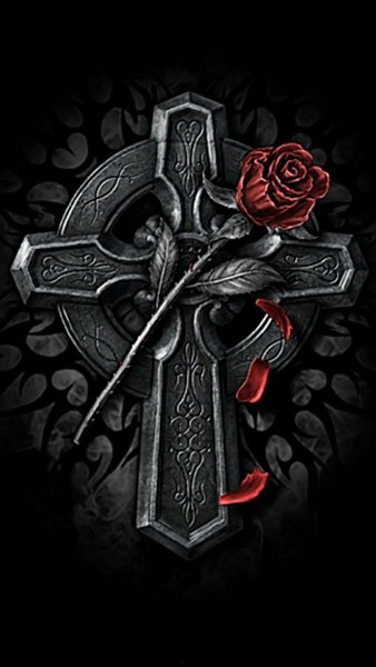 Библия и роза