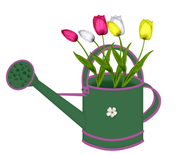 Детские цветы в лейке