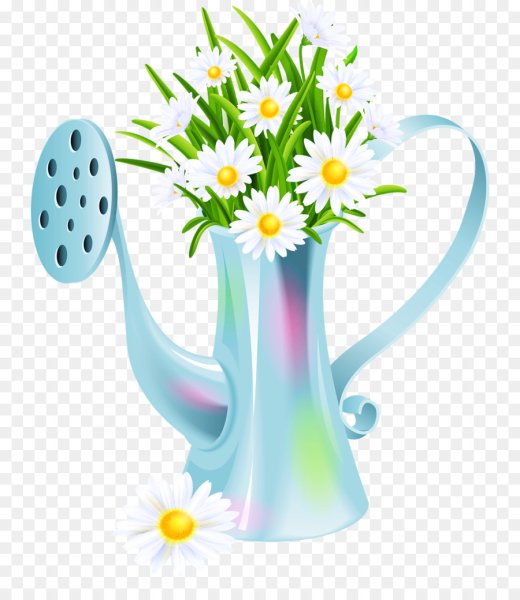 Рисование цветы в лейке