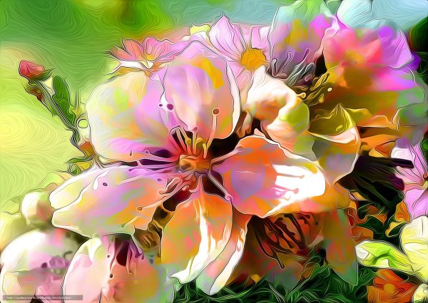 Картинки абстракция цветы