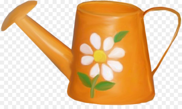 Оранжевая детская леечка