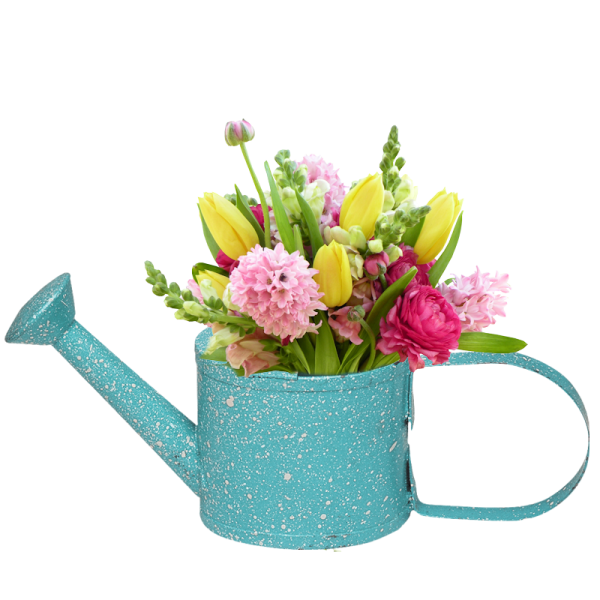 Тюльпаны в лейке