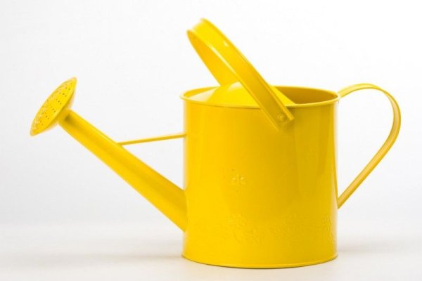 Предметы желтого цвета