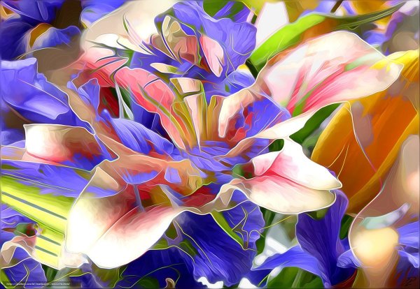 Красивые абстрактные цветы