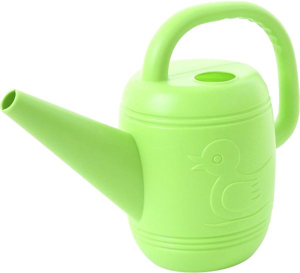 Лейка Полесье №6