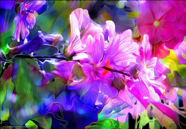 Красивые абстрактные цветы