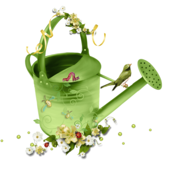 Лейка и садовый инвентарь на белом фоне