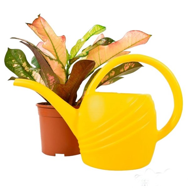 Лейка 1.4л для комнатных растений м140