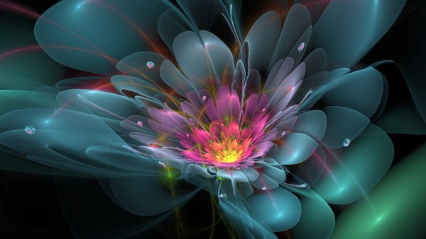 Цветы абстракция