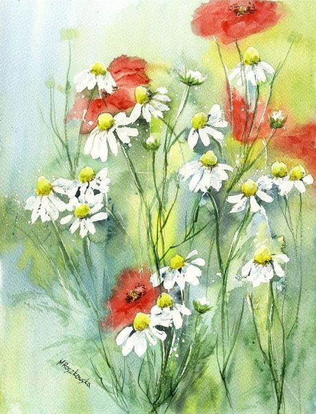 Maria Roszkowska Watercolor акварель цветы