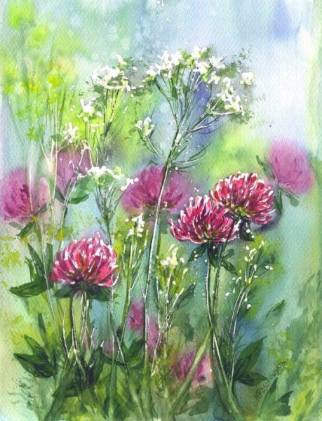 Maria Roszkowska Watercolor акварель цветы