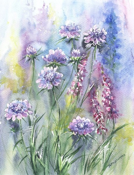 Акварель колокольчики луговые