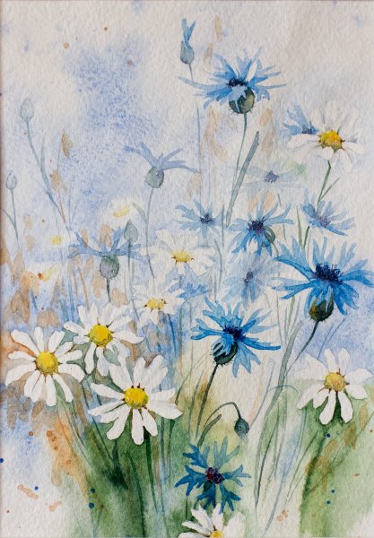Поле цветы акварель