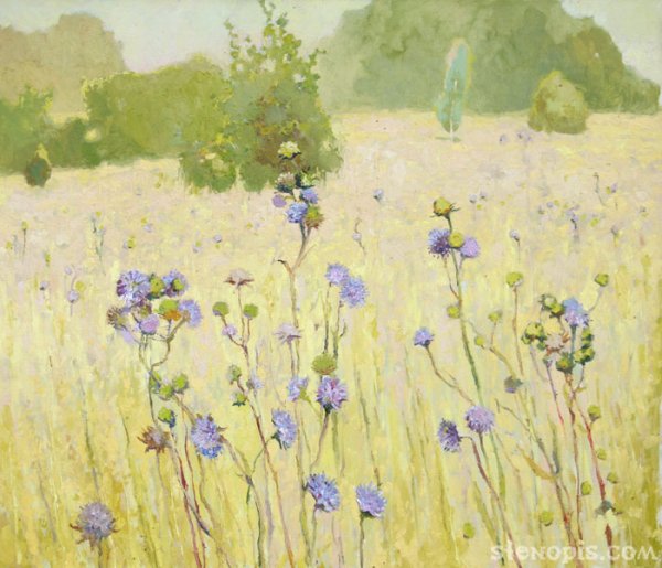 Стилизованные полевые цветы