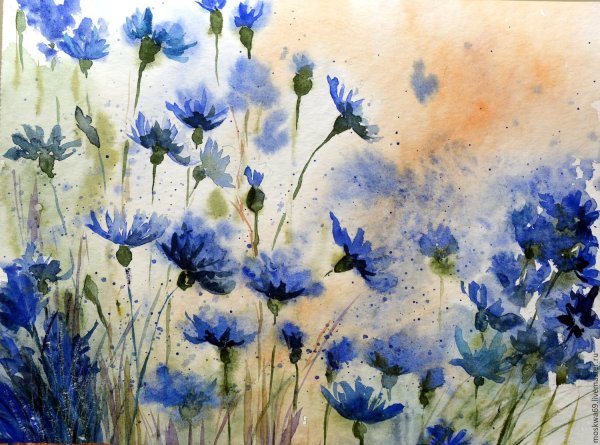 Rachel MCNAUGHTON акварель