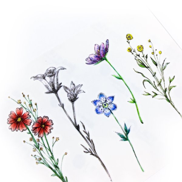 Цветы акварель художник Елена Вавилина Акварельные