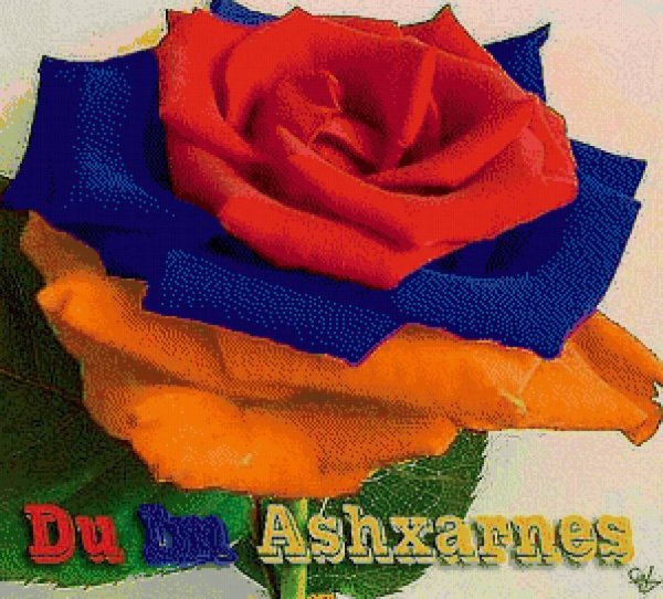 Букет цветов в цветах армянского флага