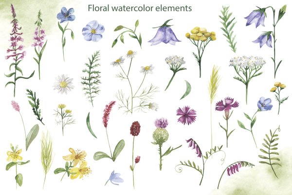 Фрески травы луговые