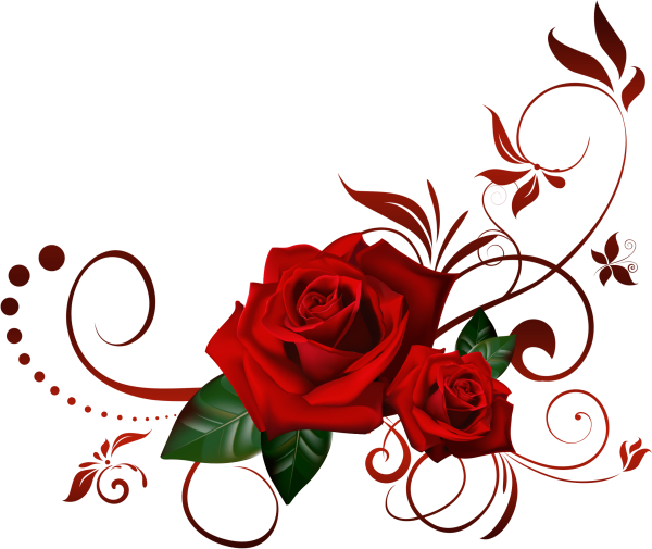 Розы на прозрачном фоне