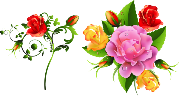 Векторные цветы на прозрачном фоне