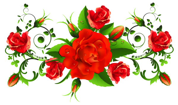 Цветы на прозрачном фоне