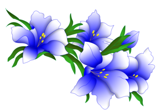 Цветочки для презентации