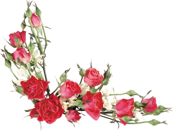 Цветы угловые